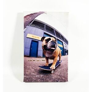 Urban Outfitters PrintRun Co Bulldog on Skateboard Photo Canvas Wall Decor‎ Art